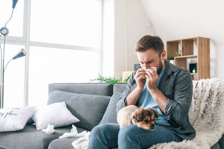 Man suffering from pet allergies | Blog | Greystar 